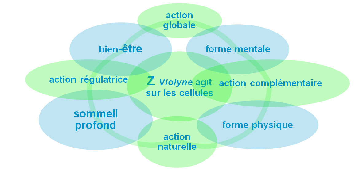 zviolyne les bienfaits