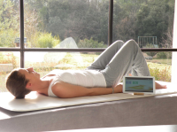 Découverte du Z Violyne